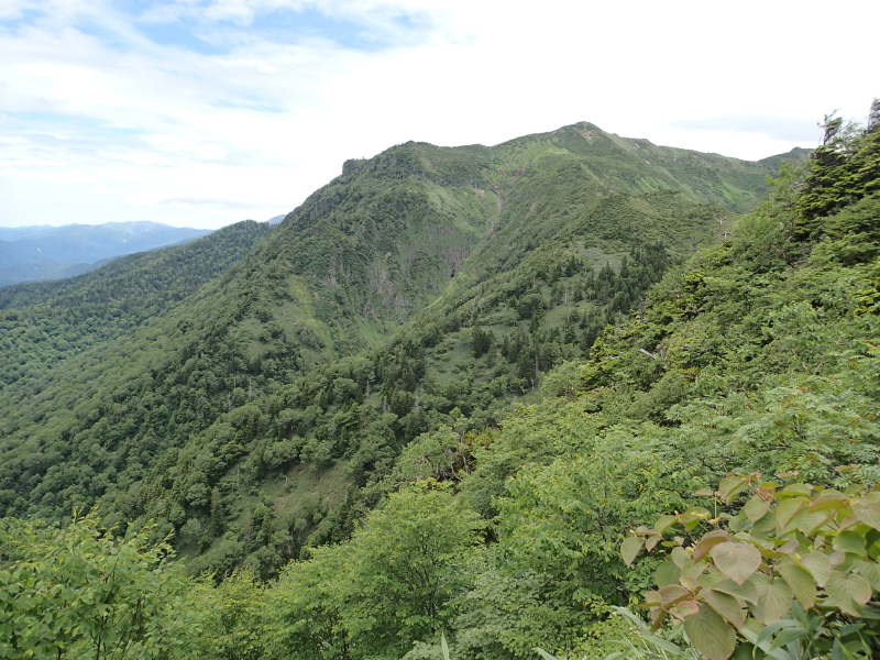 b0190242_1494211.jpg