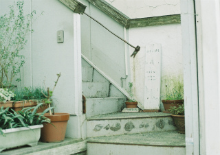 b0178548_033445.jpg