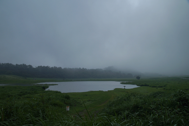 f0214649_9175062.jpg