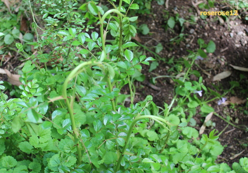 a0249051_024888.jpg