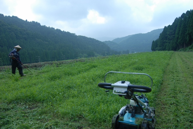 c0145453_818718.jpg