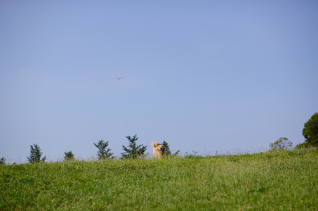 f0044853_10163975.jpg