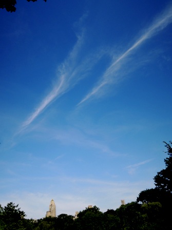 b0173754_1149463.jpg