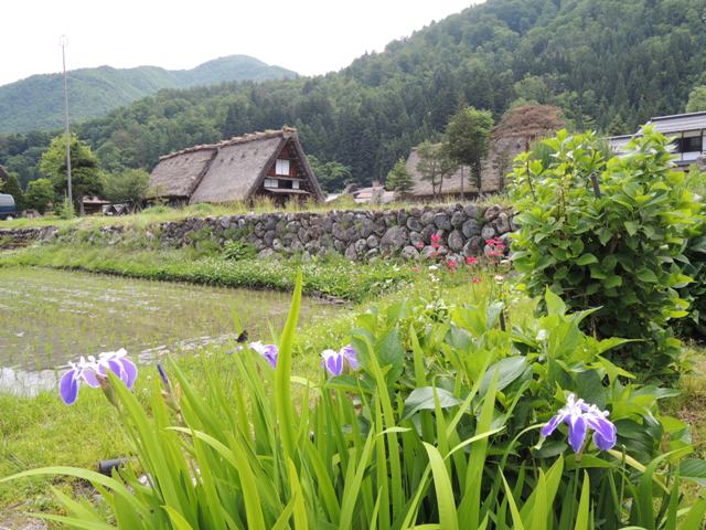 b0173754_12424456.jpg