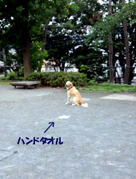 c0097558_18571071.jpg