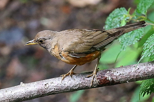 f0215964_93673.jpg