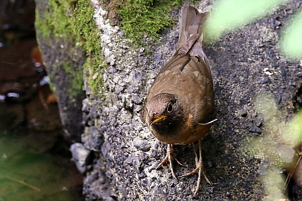 f0215964_937303.jpg