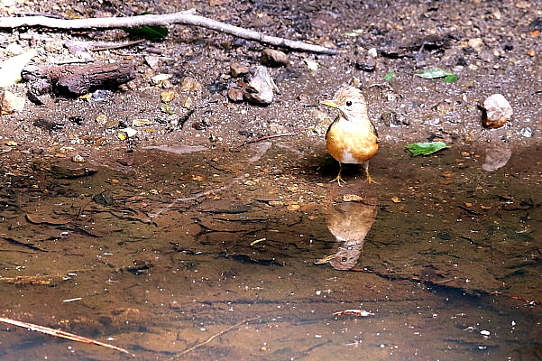 f0215964_9392429.jpg