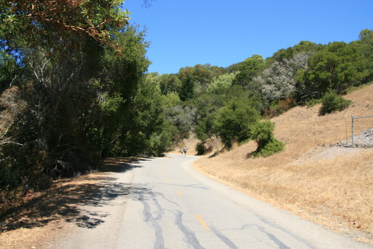 c0115366_13342143.jpg