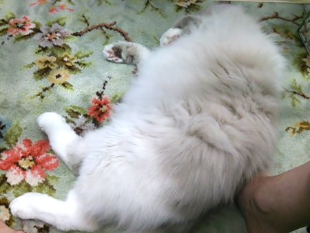 f0000673_22532885.jpg
