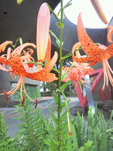 f0213476_811034.jpg