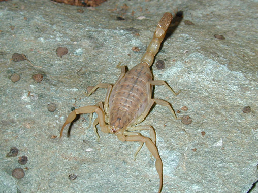 e0040579_164388.jpg