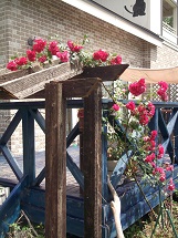 d0017084_913173.jpg