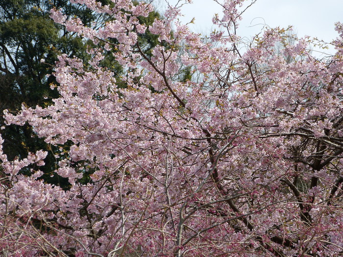 f0287487_2334874.jpg