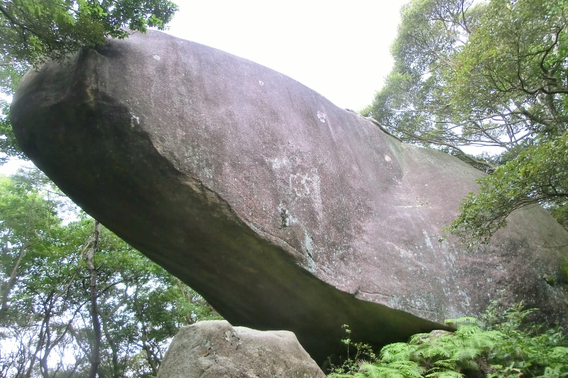 d0125589_1432315.jpg