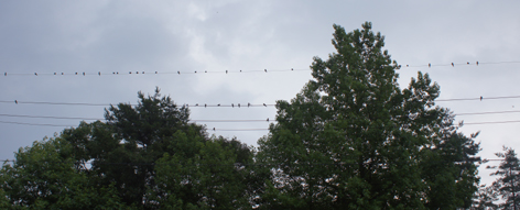 c0139591_1255935.jpg