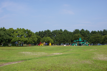 c0139591_1535610.jpg
