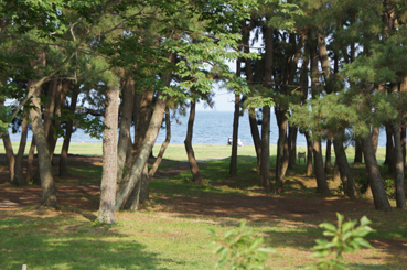 c0139591_1543193.jpg