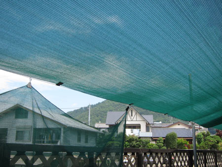 d0056197_11273737.jpg