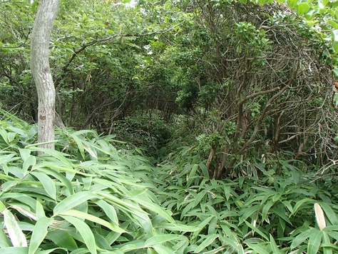 b0039898_10401662.jpg