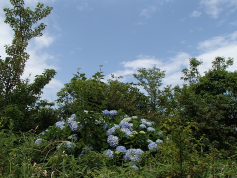 b0039898_1040374.jpg
