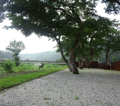 d0174598_2144415.jpg