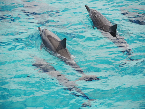 f0138305_2155525.jpg