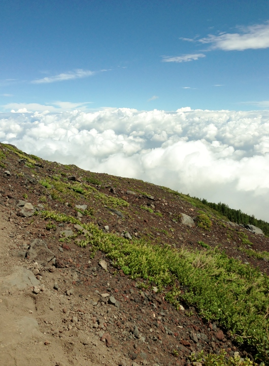 a0298406_801539.jpg