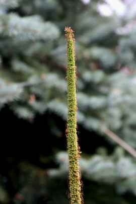 f0041606_1927559.jpg