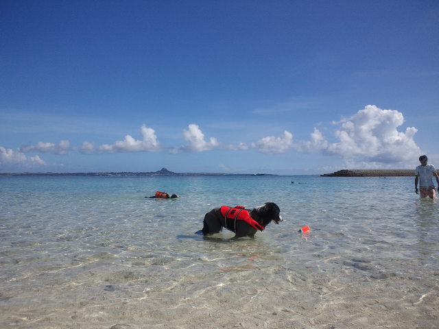 d0224111_9272074.jpg