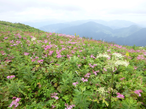 d0170615_1518974.jpg