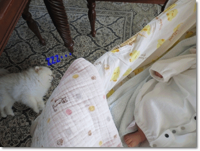 b0167519_15244541.gif