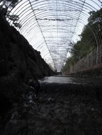 c0189724_2092380.jpg