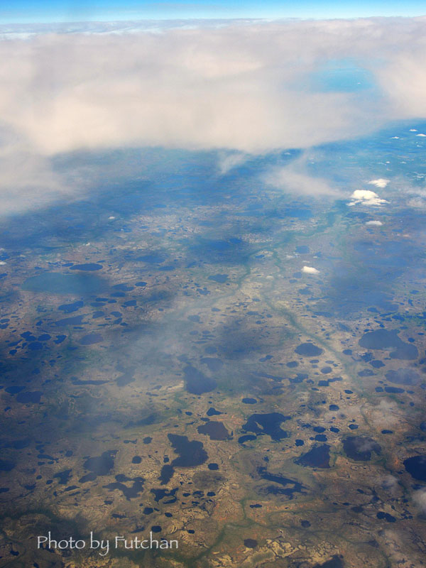 a0158226_2333031.jpg