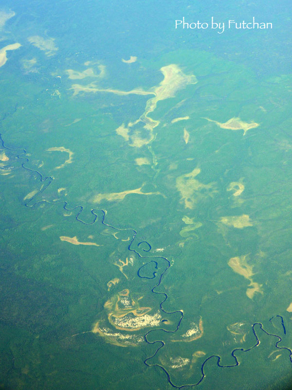 a0158226_23332782.jpg