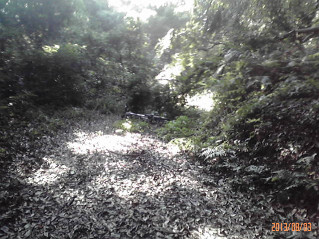 b0222530_97750.jpg