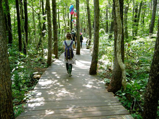 e0247832_04034100.jpg