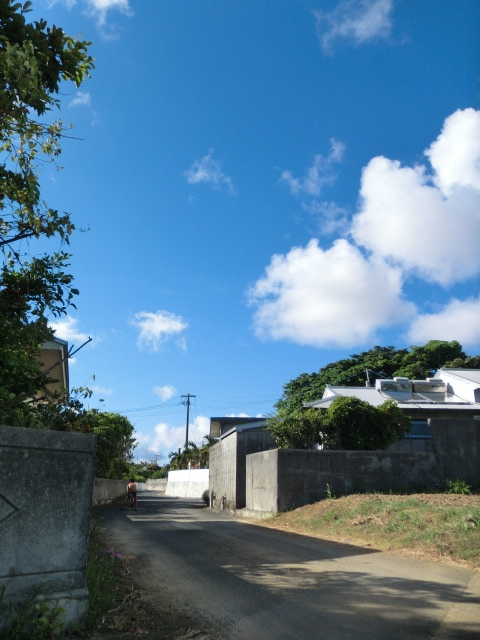 a0157135_11575475.jpg