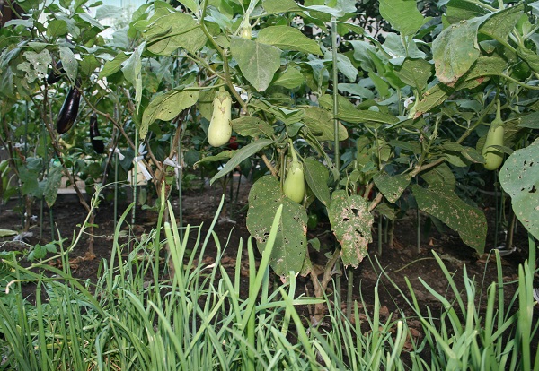 f0042737_10443639.jpg
