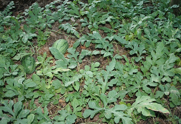 f0042737_10463080.jpg