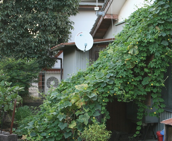 f0042737_11234658.jpg