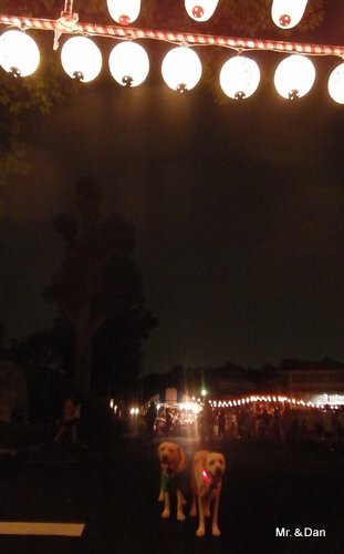 a0142343_1143499.jpg