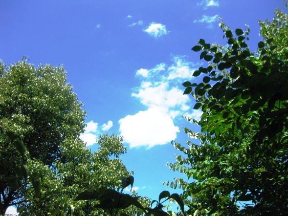 b0177850_21233530.jpg