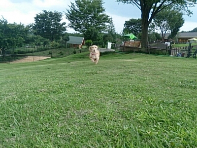 c0245751_10104929.jpg