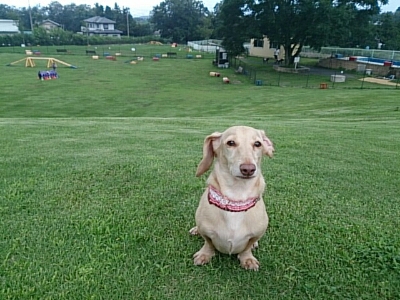 c0245751_10124089.jpg