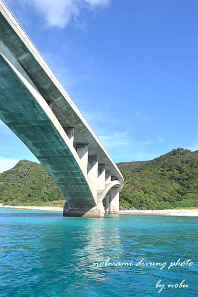 d0237353_6181946.jpg