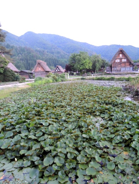 b0173754_11114689.jpg