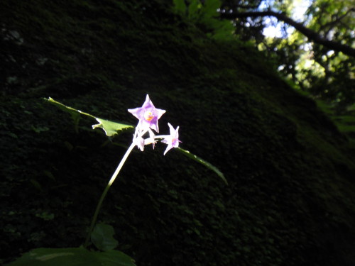 c0256558_2044954.jpg