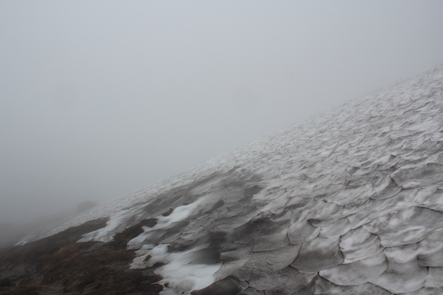 e0239458_2054534.jpg