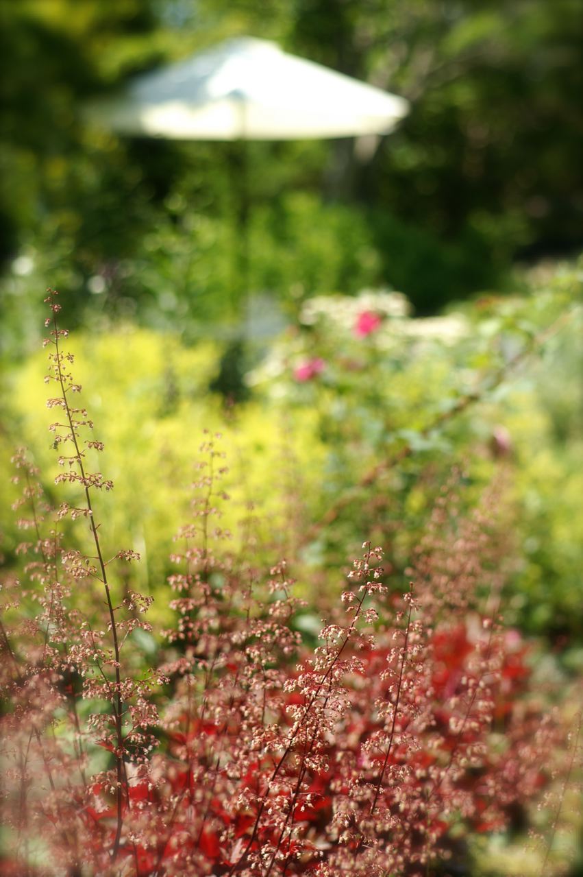 b0168859_14262751.jpg